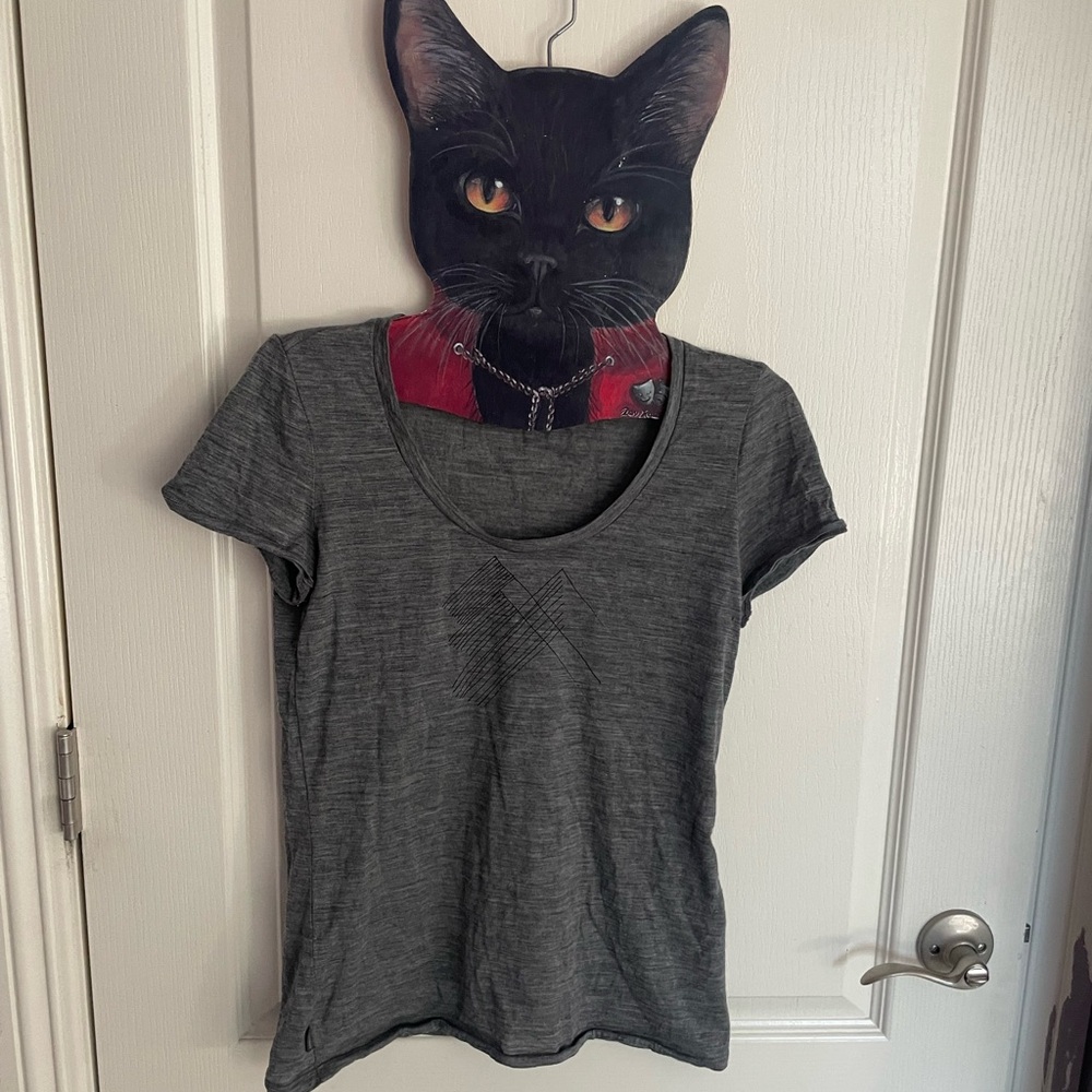 Icebreaker Gray Short Sleeve Tee